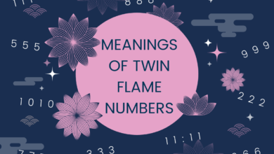 twin flame meaning