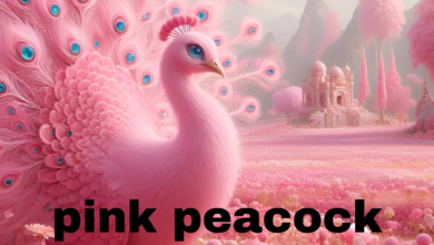 pink peacock