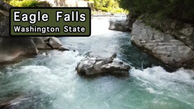 eagle falls washington